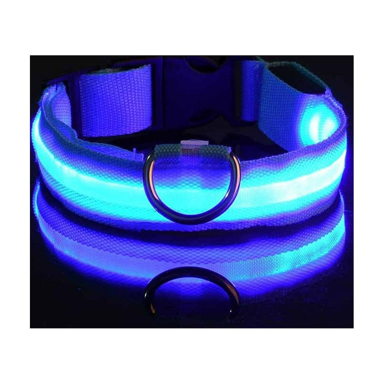 Glow in the dark Collar - Keep your pet safe and seen after dark