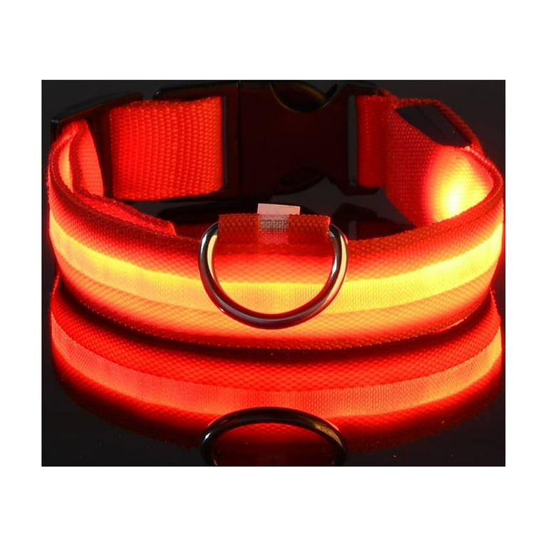 Glow in the dark Collar - Keep your pet safe and seen after dark